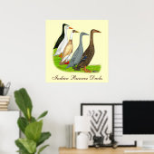 Runner Duck Assortation Poster (Thuiskantoor)