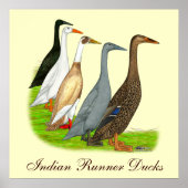 Runner Duck Assortation Poster (Voorkant)