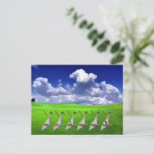 Runner duck briefkaart (Staand voorkant)