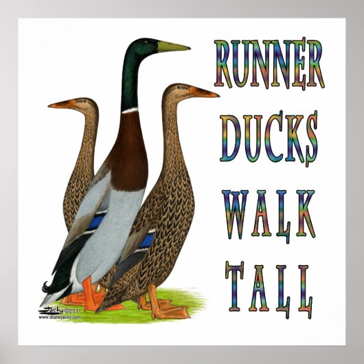 Runner Ducks Walk Tall Poster (Voorkant)