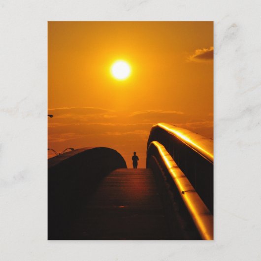 Runner Sunset Delight Bridge Daytona Briefkaart (Voorkant)