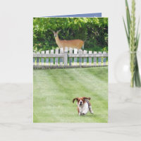 Running Basset & Deer op schattige verjaardag Kaar