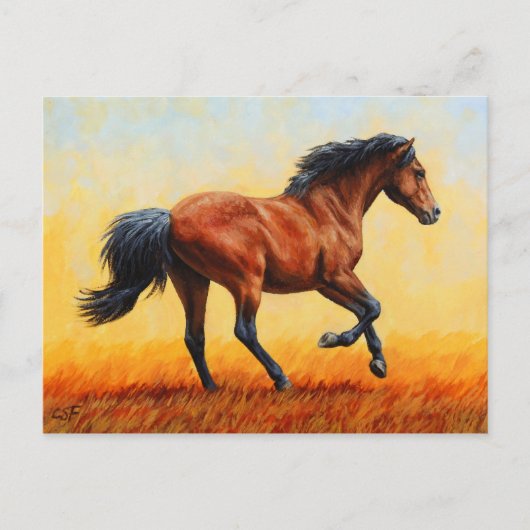 Running Bay Paard Wild Mustang Briefkaart (Voorkant)