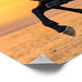 Running Black Stallion Poster (Hoek)