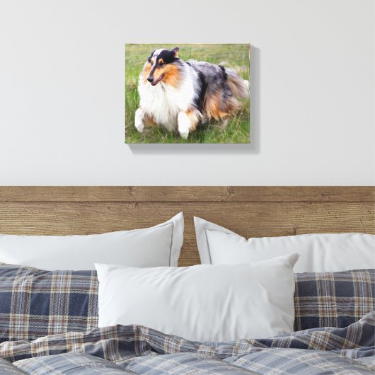 Running Blue Merle Collie Canvas Afdruk (Insitu (Slaapkamer))