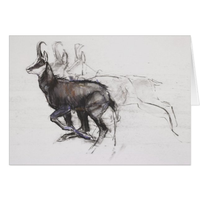 Running Chamois (Voorkant Horizontaal)