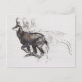 Running Chamois Briefkaart (Voorkant)