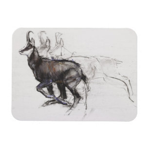 Running Chamois Magneet