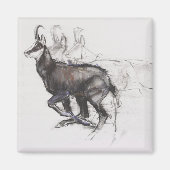 Running Chamois Magneet (Voorkant)