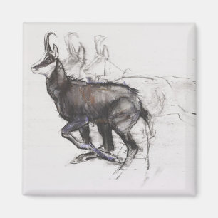 Running Chamois Magneet