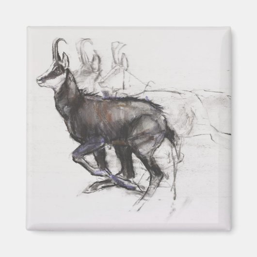 Running Chamois Magneet (Voorkant)