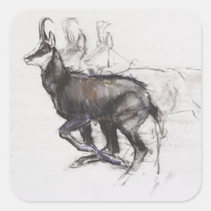 Running Chamois Vierkante Sticker