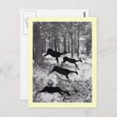 Running Deer Briefkaart (Voorkant / Achterkant)