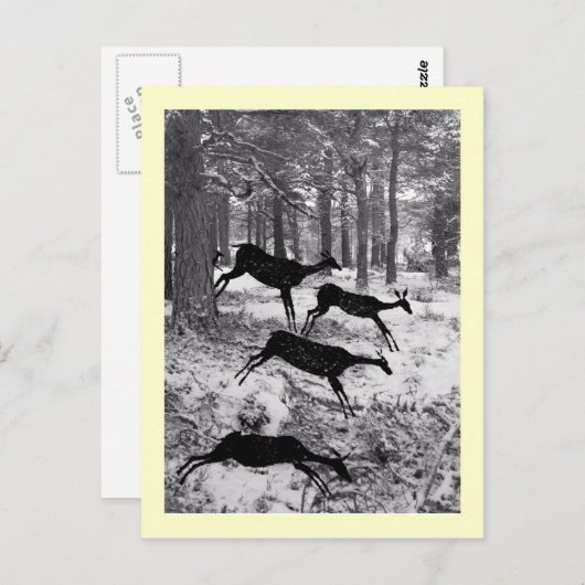 Running Deer Briefkaart (Voorkant / Achterkant)