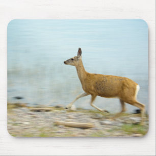 Running Doe Mousepad Muismat