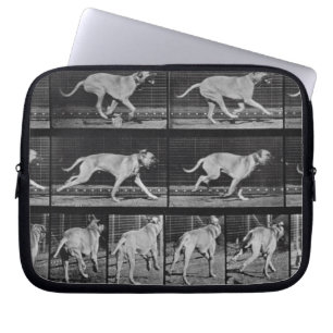 Running Dog, bord 707 uit 'Animal Locomotion', 1 Laptop Sleeve