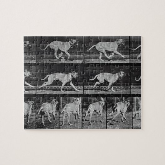 Running Dog, bord 707 uit 'Animal Locomotion', 1 Legpuzzel (Horizontaal)