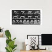 Running Dog, bord 707 uit 'Animal Locomotion', 1 Poster (Thuiskantoor)