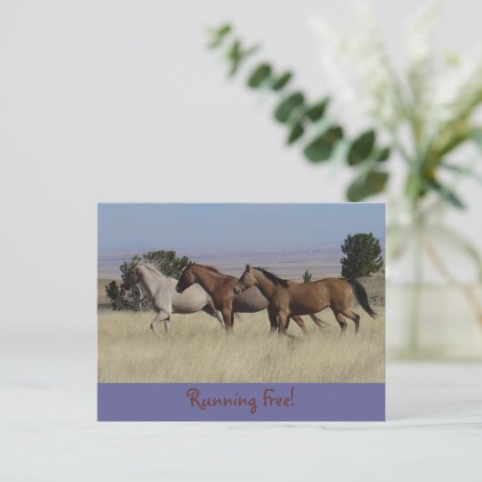 Running Free Briefkaart (Staand voorkant)