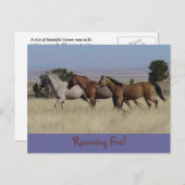 Running Free Briefkaart (Voorkant / Achterkant)