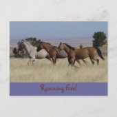 Running Free Briefkaart (Voorkant)