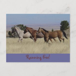 Running Free Briefkaart