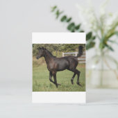 Running-Horse-2 Briefkaart (Staand voorkant)