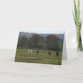 Running horses, Card Kaart