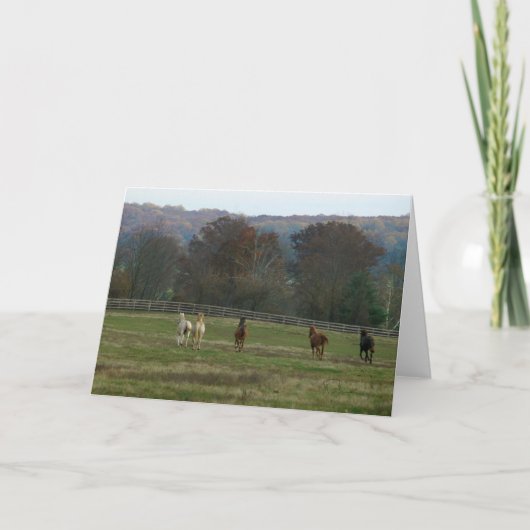 Running horses, Card Kaart (Voorkant)