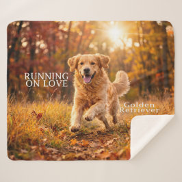 Running on Joy Golden Retriever Sherpa Deken