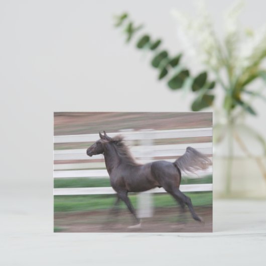 Running Proud Briefkaart (Staand voorkant)