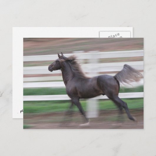 Running Proud Briefkaart (Voorkant / Achterkant)