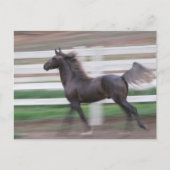 Running Proud Briefkaart (Voorkant)