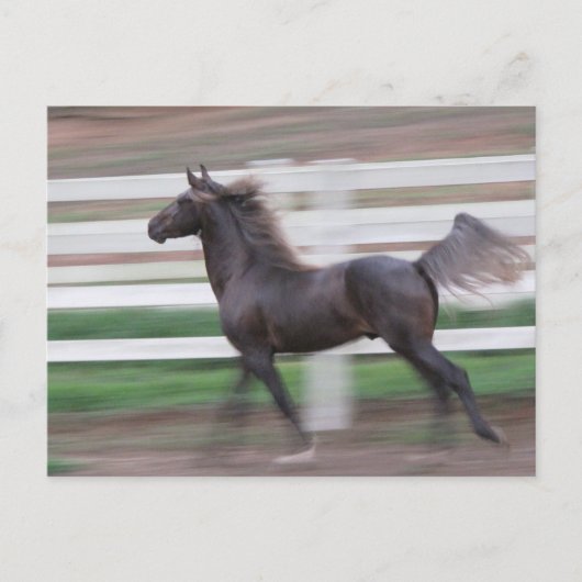 Running Proud Briefkaart (Voorkant)