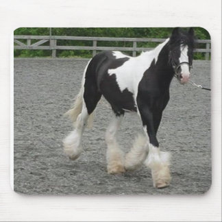 Running Rocky Muismat