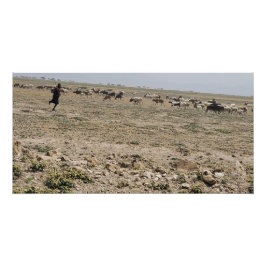 Running the Serengeti Perfect Poster