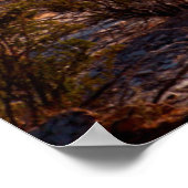 Running Through Chihuahuan Desert Poster (Hoek)