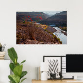 Running Through Chihuahuan Desert Poster (Thuiskantoor)