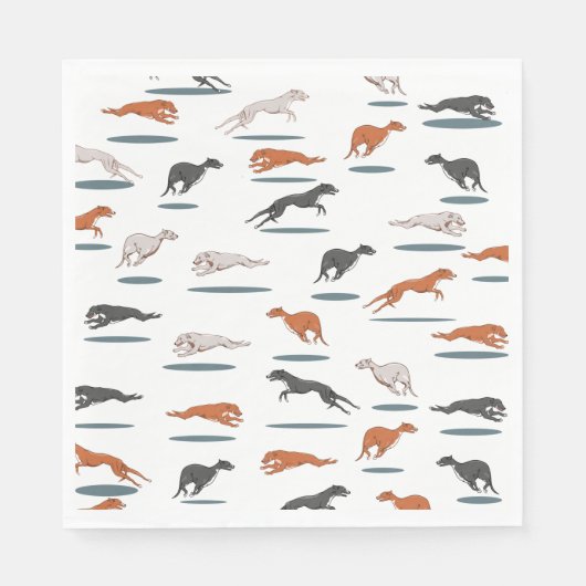 RUNNY GRAY HOUND 12000 TRANS SERVET (Voorkant)