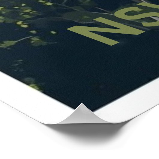 Runnyford, Clyde River, NSW Poster (Hoek)