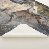 runpaarden deken (3/4)