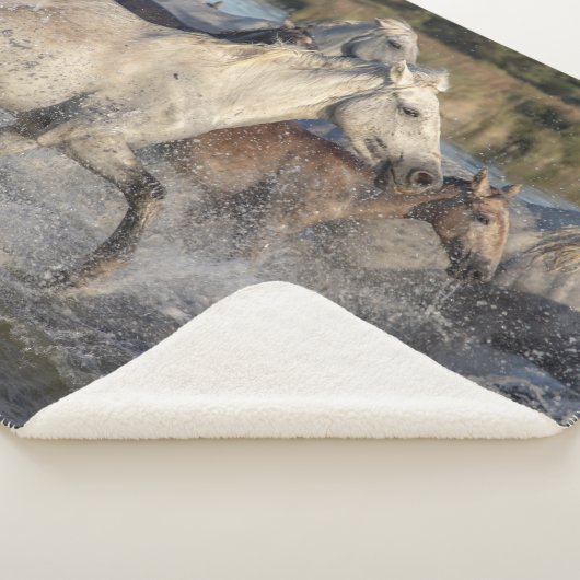 runpaarden deken (3/4)