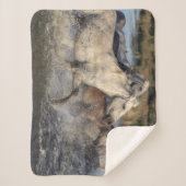 runpaarden deken (Voorkant)