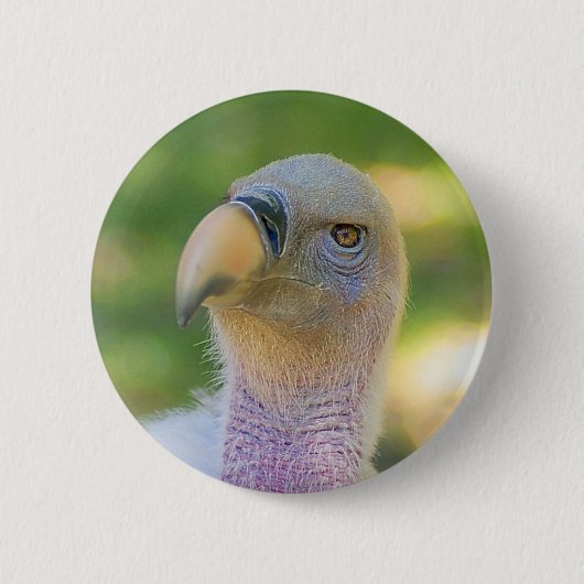 Rupell's Griffon Vulture Ronde Button 5,7 Cm (Voorkant)