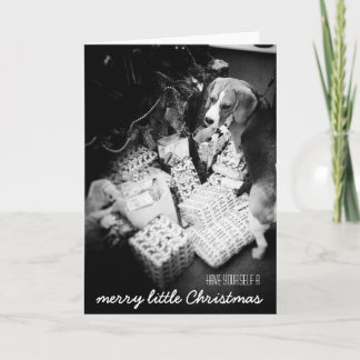 Rupert de Beagle Christmas Kaart