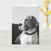 Rupert de Beagle Dog Blank Groeten Kaart (Gele Bloem)