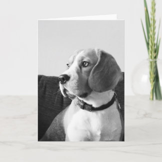 Rupert de Beagle Dog Blank Groeten Kaart
