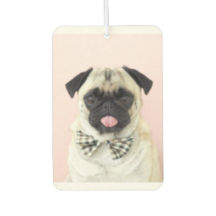 Rupert de Pug auto luchtverfrisser