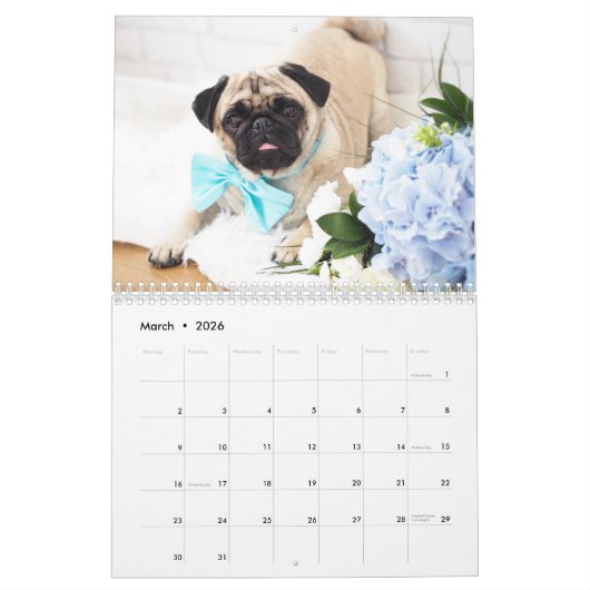 Rupert de wandkalender van Pug 2019 Kalender (Mar 2026)