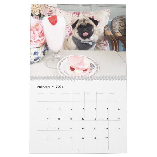 Rupert de wandkalender van Pug 2019 Kalender (Feb 2026)